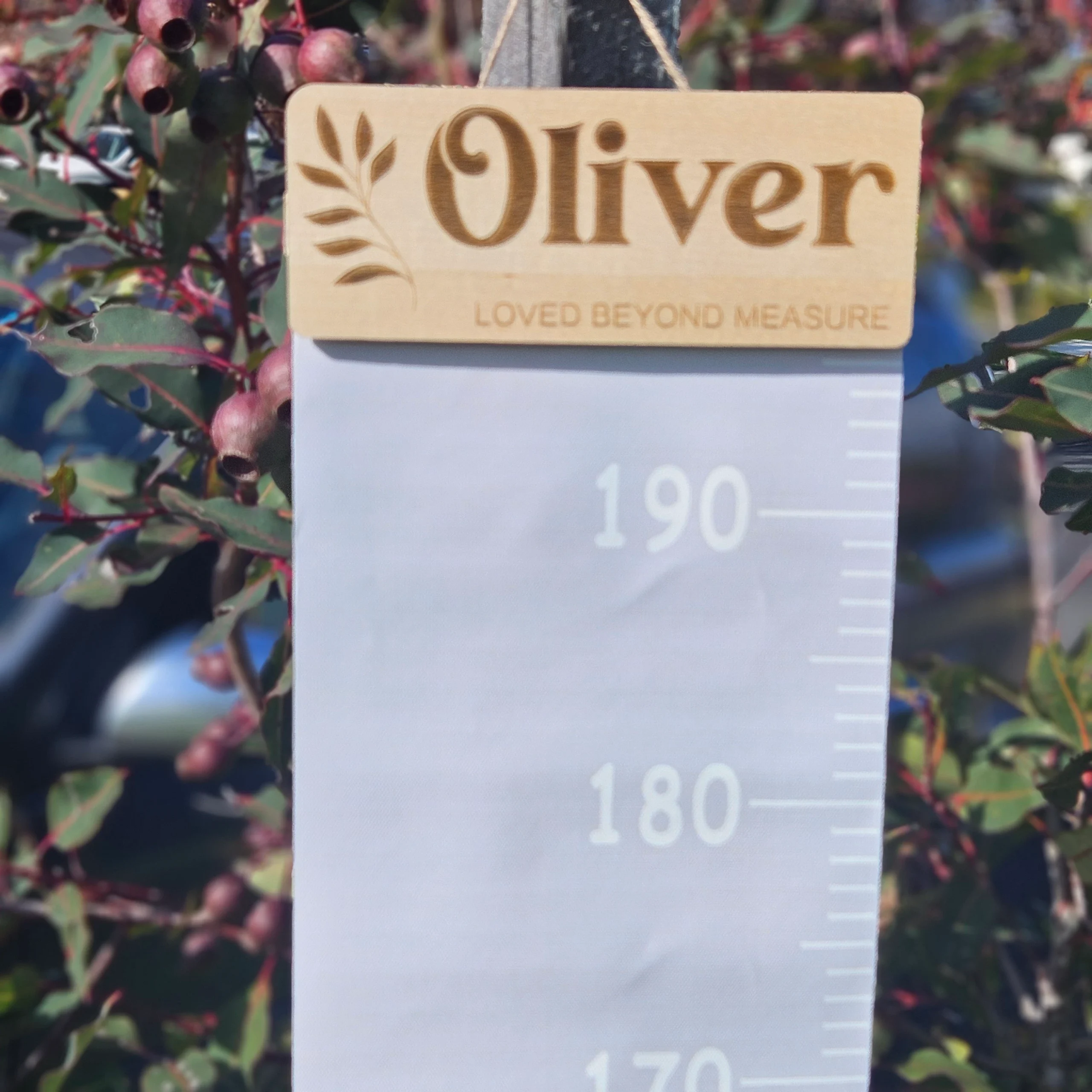 Fabric Height Ruler