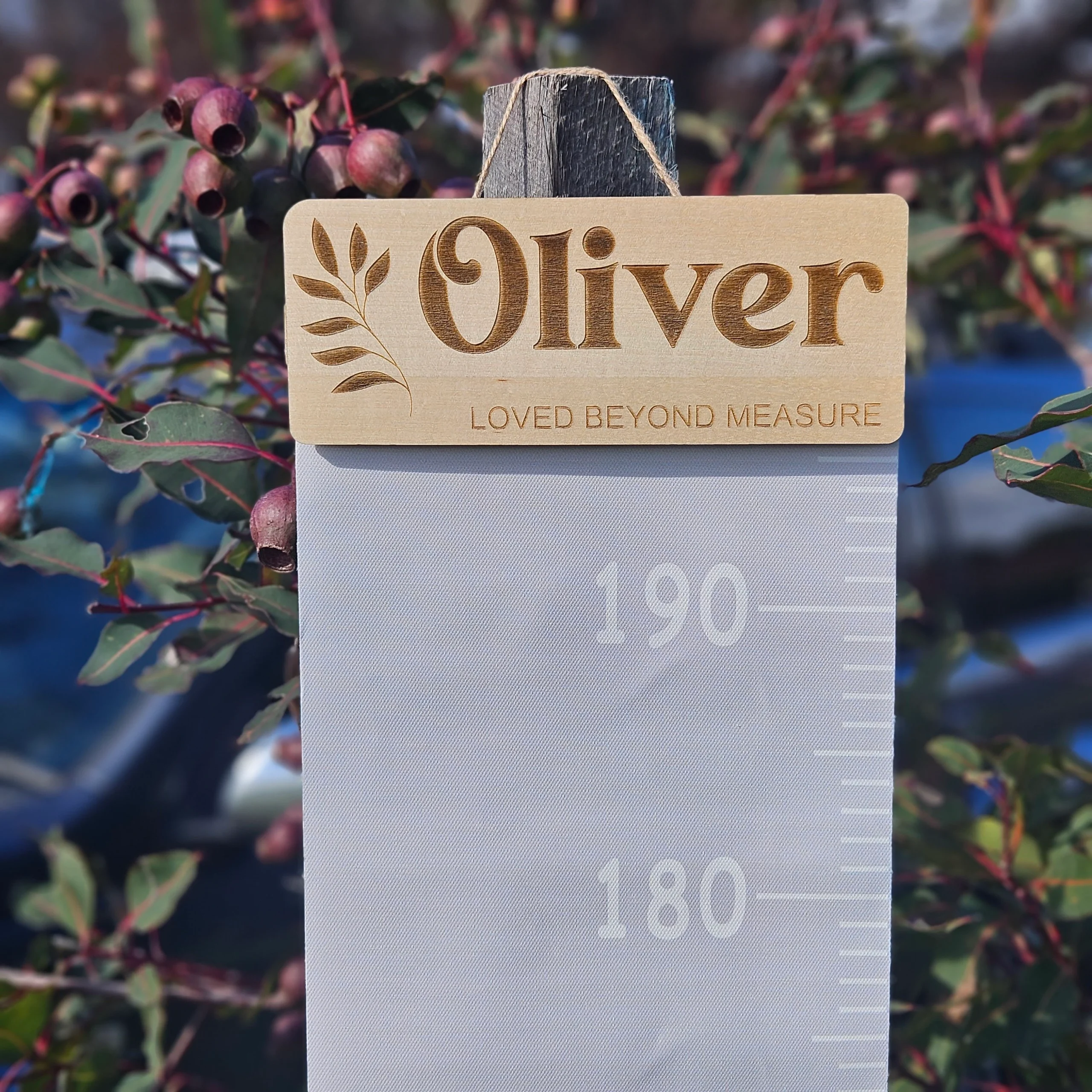 Fabric Height Ruler