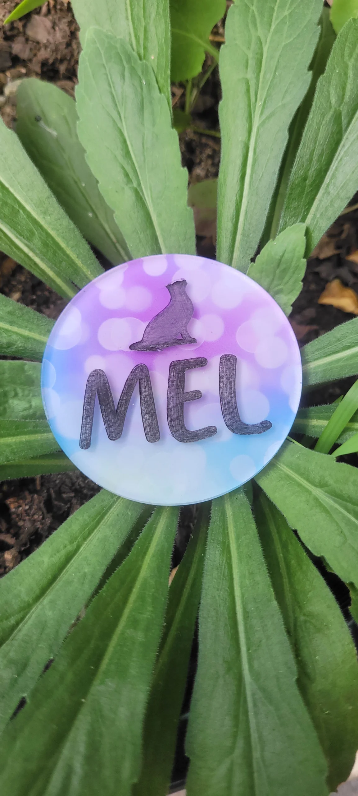 Acrylic engraved name tags