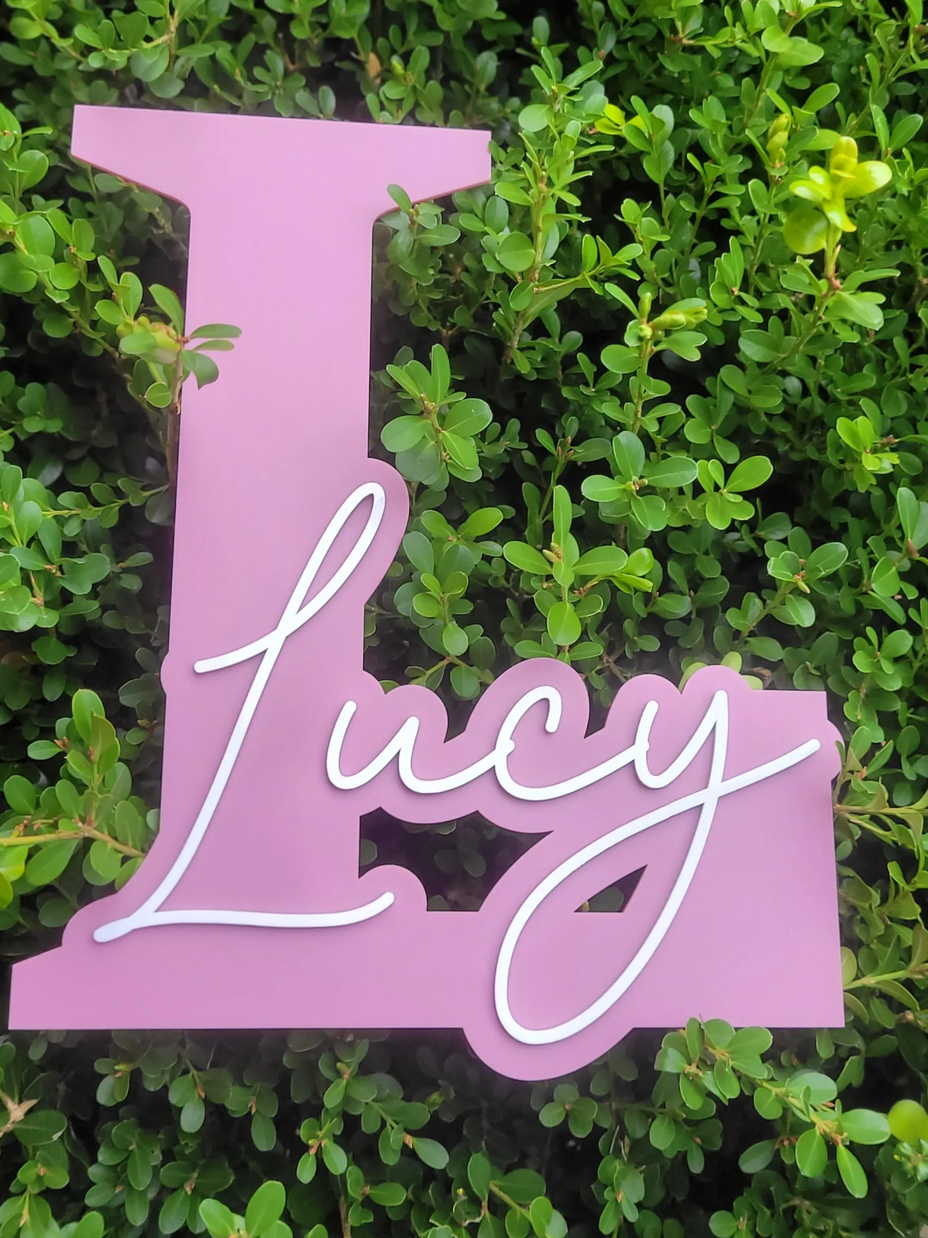 Name and Initial Wall Plaque